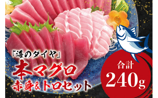 本マグロ（養殖）トロ＆赤身セット 240g 【１ヶ月以内に順次発送】/ 高級 クロマグロ  中トロ 中とろ  まぐろ マグロ 鮪 刺身 赤身 柵 じゃばらまぐろ 本マグロ 本鮪 【nks113B】