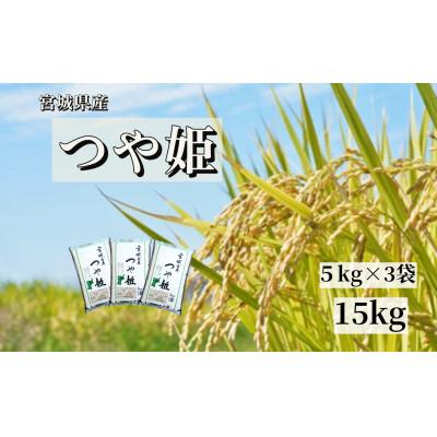 ふるさと納税 栗原市 【令和7年産】宮城栗原産 つや姫 白米15kg (5kg×3袋)