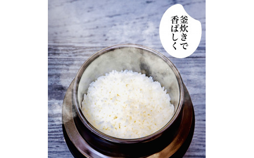 R8年産 新米 こしひかり 10kg 8月下旬から発送 厳選 高知県産 米 食味鑑定士 産地直送 お米 白米 精米 ごはん コシヒカリ ご飯 高知 県 産 須崎 市  米 NPO013-3x 10kg