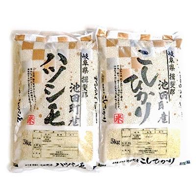 ふるさと納税 池田町 【令和7年産】8分精米 ハツシモ・コシヒカリ 各5kgセット