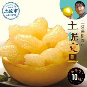 【先行予約】【訳あり】三愛果樹園の土佐文旦10kg / 土佐文旦 みかん 柑橘 ぶんたん ブンタン 果物 フルーツ 〈2027年2月上旬から順次発送〉【三愛果樹園】 [BQAO009]
