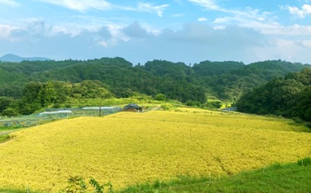 令和6年産 岡山県産あさひ10kg（5kg×2袋）