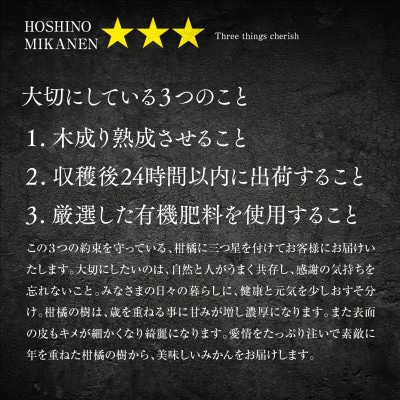 【三つ星ブランド】星乃みかんプレミアムシリーズ(5kg)【C45−84】【1454778】