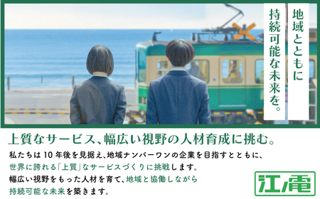 江ノ電 Wooden toys 玩具 【 玩具  】