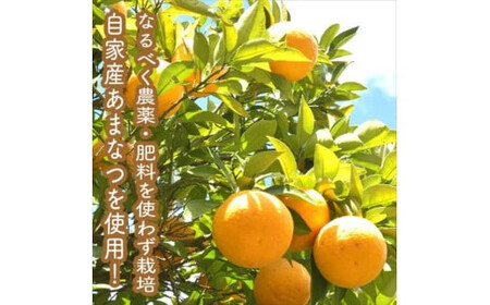 スイスで加工品を学んだ農家が手間暇かけた『手づくりジャムソース【あまなつ】』16本セット【 家庭用 自宅用 贈答品 贈答用 ギフト お取り寄せ お中元 お歳暮 贈り物 お祝い 神奈川県 小田原市 】