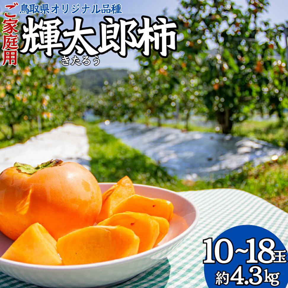 【ふるさと納税】輝太郎柿10～18玉〔ご家庭用〕
