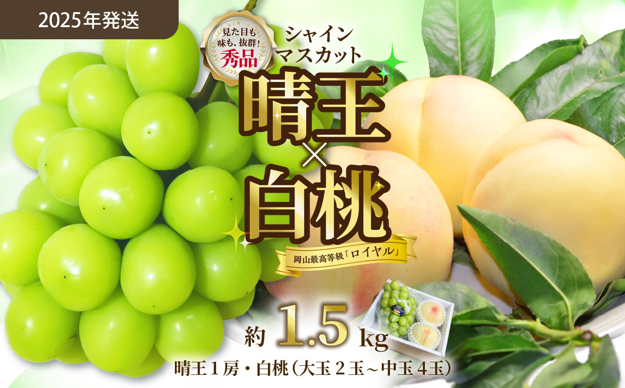 
            【令和７年発送分】岡山県産 シャインマスカット晴王×白桃 約1.5kgセット（令和7年7月から8月発送）【 岡山県産 シャインマスカット 秀品 晴王 白桃 ロイヤル 晴れの国おかやま 】
          