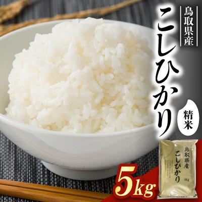 ふるさと納税 北栄町 【食味鑑定士厳選】鳥取県産 コシヒカリ5kg(5kg×1袋)