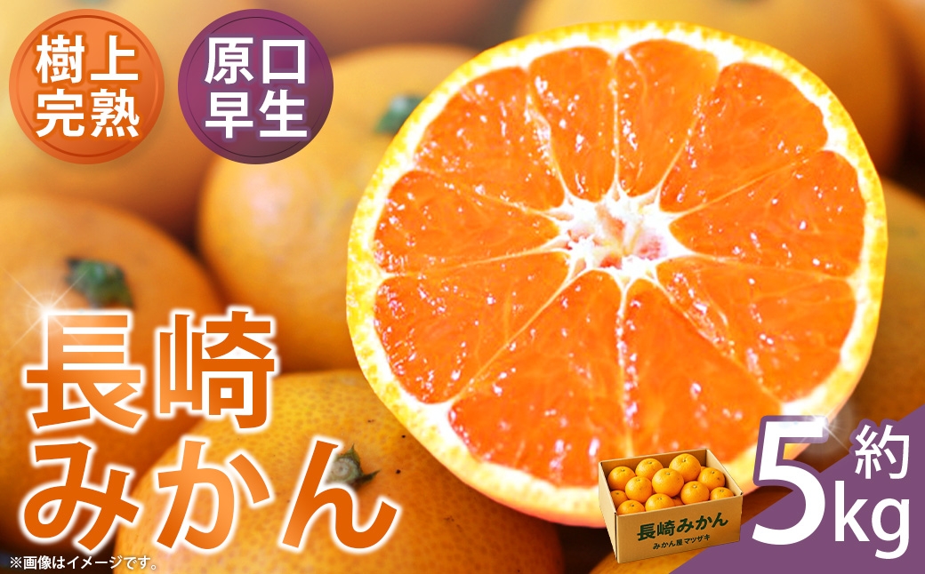 
                  樹上完熟 ・ 長崎みかん （ 原口早生 ） 約5kg 果物 フルーツ 国産 長崎県産 果実 果汁 果肉 柑橘 【 2026年11月下旬～12月上旬発送予定 】
                