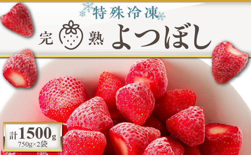 
                  旬のおいしさそのまま！池田農園の特殊冷凍よつぼし1.5kg_いちご 特殊冷凍 よつぼし 1.5kg 750g × 2 旬 美味しい 完熟 甘い 濃厚 アートロックフリーザー サクサク 食感 栄養 池田農園 フルーツ スムージー おやつ スイーツ 冷凍 お取り寄せ お取り寄せフルーツ 食べ物 福岡県 久留米市 送料無料_Fi212
                