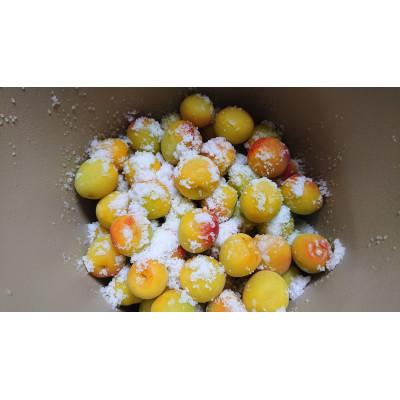 ふるさと納税 由良町 2026/6月より発送【梅干し・梅酒用】紀州和歌山の熟南高梅(3Lまたは2L-2kg) |  | 01