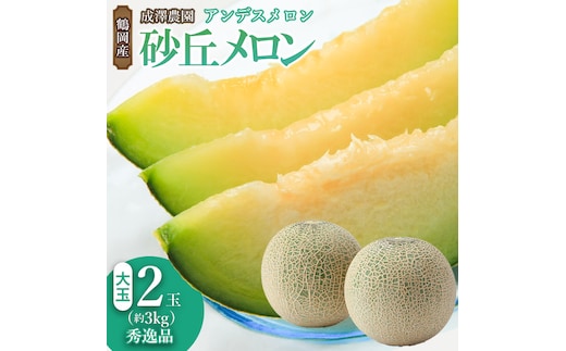 
										
										【令和6年産 先行予約】鶴岡産砂丘メロン 秀逸品 アンデスメロン 大玉2個(青玉) 成澤農園 A05-602
									