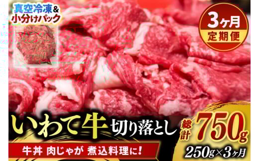 ＼3ヶ月連続 定期便／ 切り落とし 肉 牛肉 小分け 真空冷凍 いわて牛 250g (総計 750g) 岩手県産 和牛 牛肉 黒毛 和牛 切り落とし肉 大容量 肉 すき焼き 肉じゃが 煮込み 煮物 赤身 国産牛 小分け 冷凍 数量限定 (AB094)