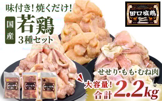
            国産 若鶏味付け肉 3種セット 2.2kg（もも肉300g×4・むね肉300g×2・せせり200g×２）せせり もも むね 塩ダレ 味付け肉 鶏肉 鶏 肉 キャンプ バーベキュー 大容量 地鶏 焼肉 焼き鳥 田口塩鶏 若鶏 奥三河どり 20000円 20,000円 -172
          