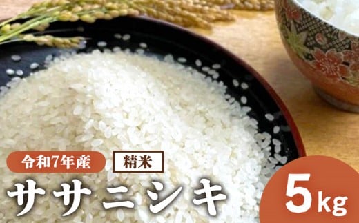 『令和7年産』 宮城県白石市産 ササニシキ 精米 5Kg | 5キロ ５キロ ５ｋｇ お米 米 ササニシキ 白米 精米 宮城米 ふるさと納税 宮城県 白石市 白石【1215502】