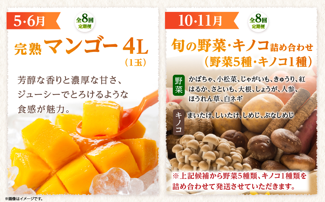 【全8回お届け】特選！！宮崎県綾町産 果物・野菜定期便 [Y20]_A0113-0031 全8回定期便