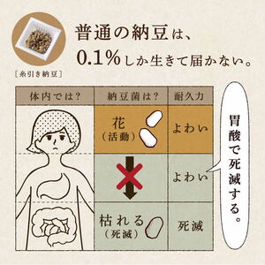 【定期便3回/2カ月毎】粉なっとう（パウダー）180g