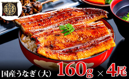 【期間限定9月30日までの特別価格！】うなぎ蒲焼 160g×4尾(640g) うなぎ ウナギ 鰻 蒲焼 蒲焼き冷凍 国産 大五 大五通商 静岡 島田市