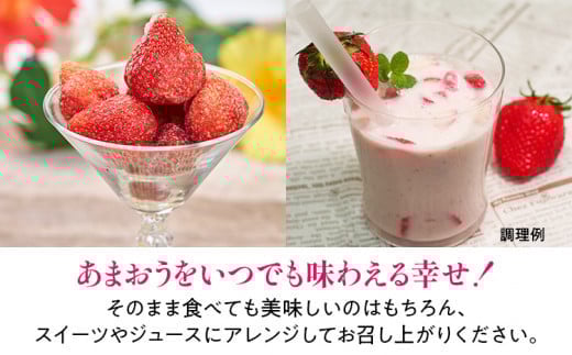 福岡産 冷凍あまおう 1kg(500g×2袋) あまおう イチゴ いちご スイーツ 果物 フルーツ 送料無料 冷凍フルーツ ジャム 苺 ケーキ スムージー いちご飴 かき氷 フルーツ大福 クリスマス 