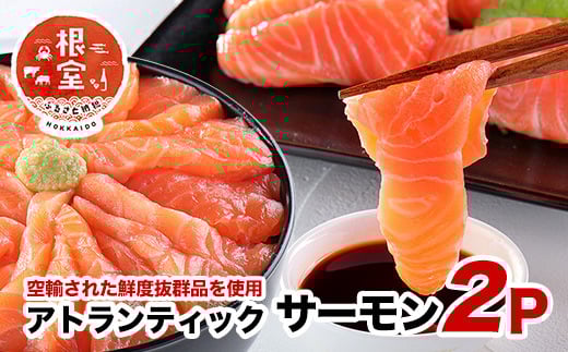 G-24001 【生食可】アトランティックサーモン2P(計400g～500g前後）