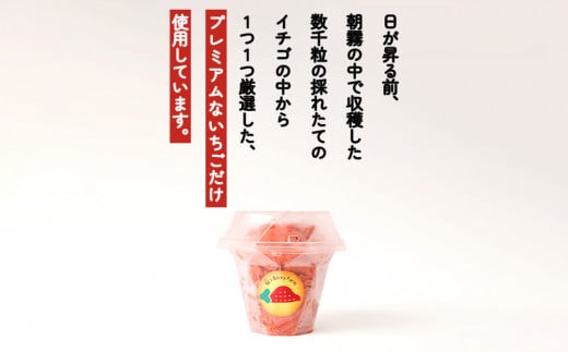「苺ふわ雪」イチゴ農家のけずりいちご 約100g×4カップ いちご イチゴ 苺 フルーツ 冷凍 夏 スイーツ 冷凍イチゴ くだもの 果物 九州 宮崎 送料無料 氷 アイス