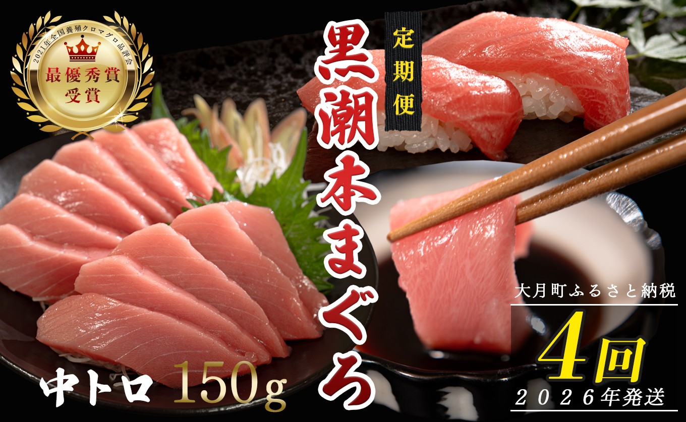 
            【定期便 4回】日本一!黒潮本まぐろ 中トロ
          