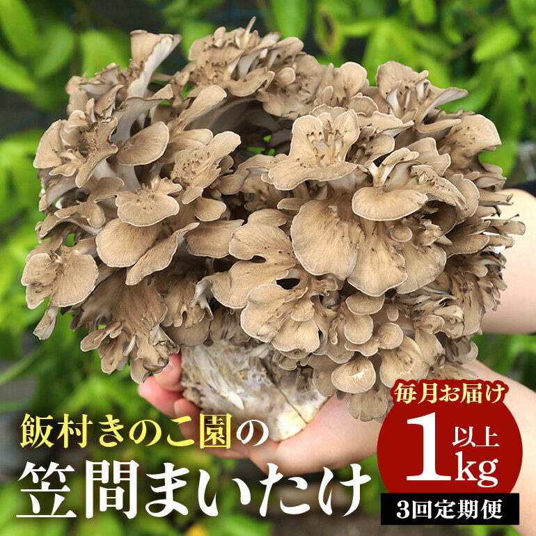 【ふるさと納税】【3回定期便 】まいたけ 約1kg以上 飯村きのこ園の笠間まいたけ 3ヶ月毎月お届け