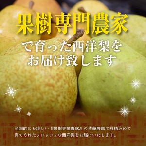 SA2720　六代多右エ門　西洋梨 おまかせ3品種　約3kg(8～9玉) 化粧箱入