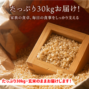 OJ-01 大山の自然が育んだ岡崎さんのきぬむすめ30kg【玄米】