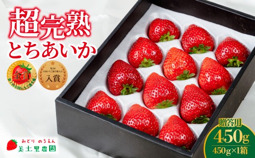 いちご「茂木完熟いちご」　第１回いちご選手権金賞  とちあいか ギフト 450g×1箱【3月以降発送】 | いちご イチゴ 苺 とちあいか １回いちご選手権金賞  ブランドいちご ストロベリー 完熟 甘い あまい 果物 フルーツ くだもの  旬 産地直送 栃木県産 贈答 ギフト プレゼント 美土里農園 栃木県 茂木町