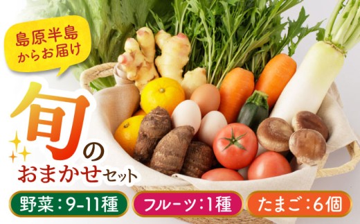 【野菜9～11種・フルーツ1種・卵6個】 旬のおまかせセット 長崎県/舞岳の里 [42ACAC001] 野菜 卵  果物 新鮮 セット 詰め合わせ  産地 直送 国産 季節の野菜 たまご メロン いちご ピオーネ 野菜セット