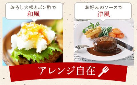 BSR-331 鹿児島県産黒豚ステーキハンバーグ10個入り