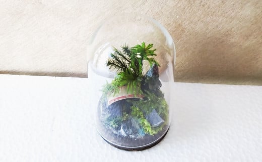 【さとリウム（R）】プリザーブド加工のテラリウム なごみ（橋） 1セット ｜テラリウム ガラスドーム 苔 こけ コケ 植物 鑑賞用 インテリア 水やり不要