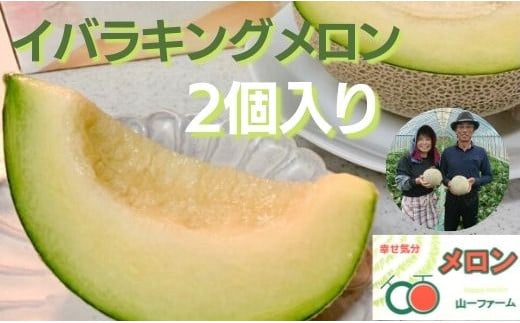 メロン めろん  イバラキングメロン 2個（大玉3kg以上） 山一ファーム おすすめ 人気 国産 山一ファーム 茨城 鉾田 フルーツ 旬 プレゼント 贈り物 甘い ヘルシースイーツ 産地直送 農業王国 青肉 緑肉 送料無料