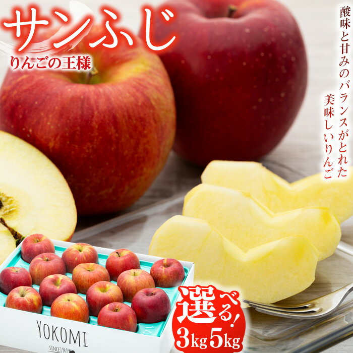 【ふるさと納税】【2025年/令和7年度発送分 】信州のりんご サンふじ 3kg 5kg りんご リンゴ 林檎 長野 フルーツ 果物 信州産 長野県産 特産 産地直送 おすすめ　 箕輪町 　お届け：2025年11月下旬～2026年1月ごろ