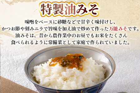 ＜秘伝レシピでつくる特製油みそ 約800g(約200g×4P)＞おにぎりやご飯のお供、きゅうりをディップしてお酒のおつまみに！【MI298-ad】【安藤ストアー】