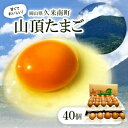 【ふるさと納税】養鶏場から直送!甘くておいしい「山頂たまご」赤たまご　40個【1486633】