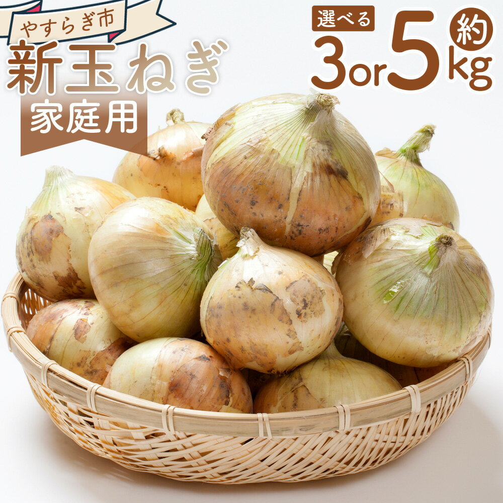 【ふるさと納税】【選べる内容量】新玉ねぎ （約3kg/約5kg） 家庭用 - 選べる 数量 国産 野菜 青果 たまねぎ タマネギ 玉葱 オニオン ご家庭用 訳あり 訳アリ 不揃い 傷 やすらぎ市 高知県 香南市【冷蔵】