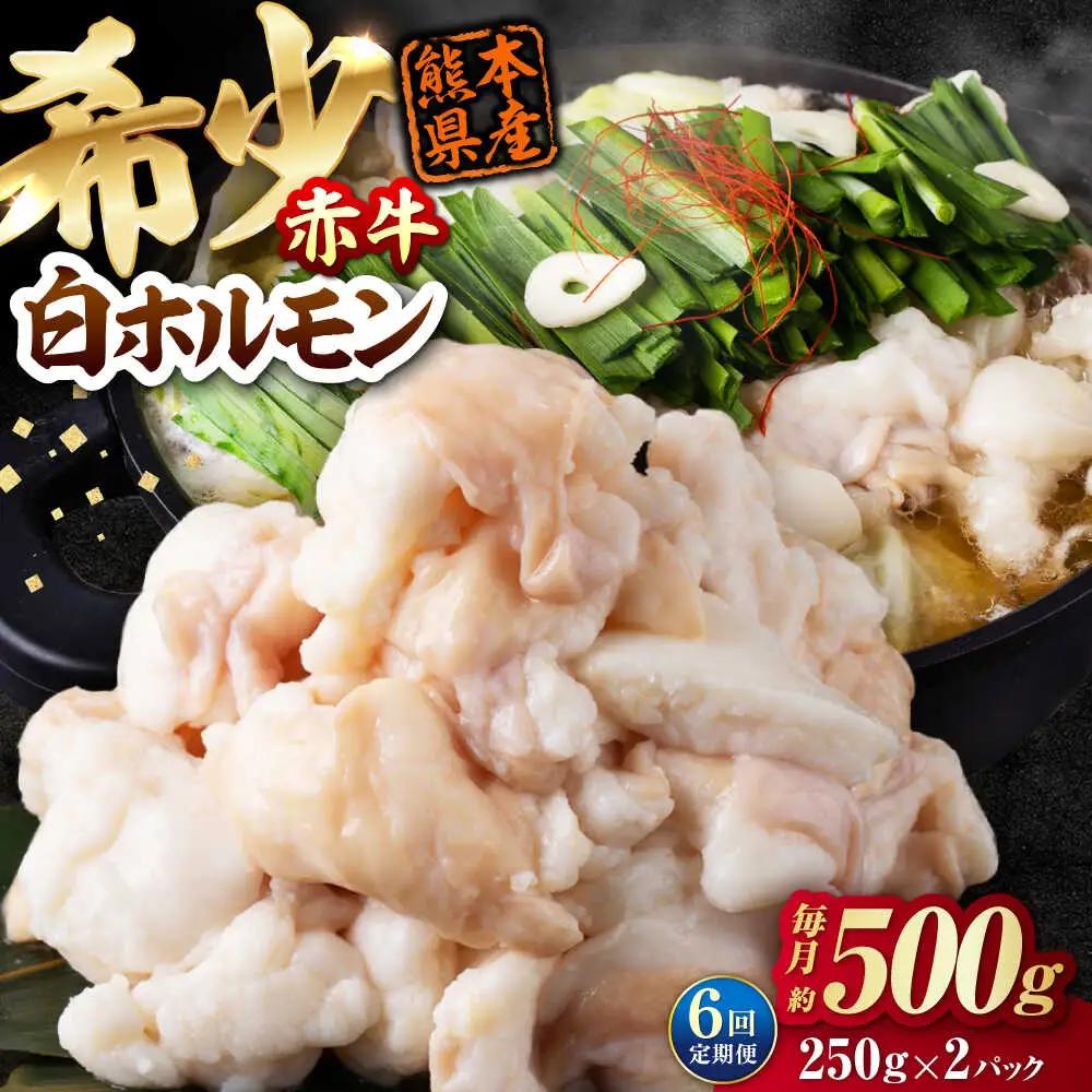 【全6回定期便】 赤牛 ホルモン 500g（250g×2パック） / 小腸 シロホルモン もつ 熊本県産 冷凍[AYBV038]