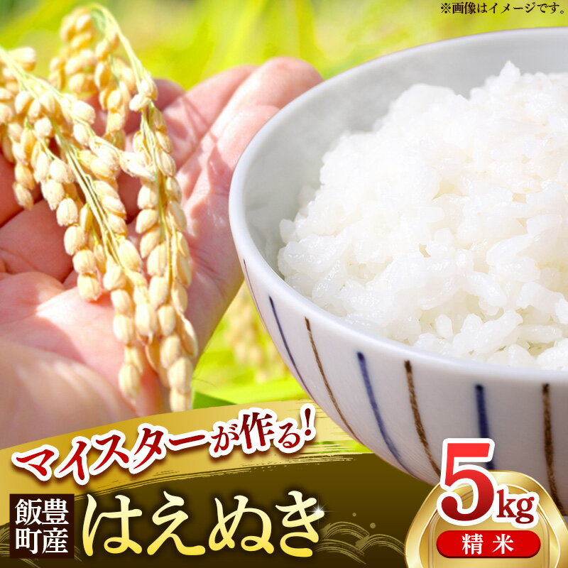 【ふるさと納税】マイスターがつくる はえぬき 白米 5kg (R7年産） - 山形県 飯豊町産 米 精米 品種 銘柄 ブランド米 ご飯 白米 おすすめ 送料無料 林七【価格改定】