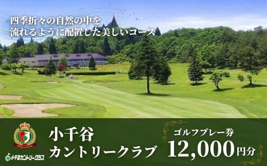 【小千谷カントリークラブ】ゴルフプレー券12,000円(1,000円×12枚) 緑豊かな風景を楽しみながらプレー 小千谷綜合開発 【0044-0004-01】