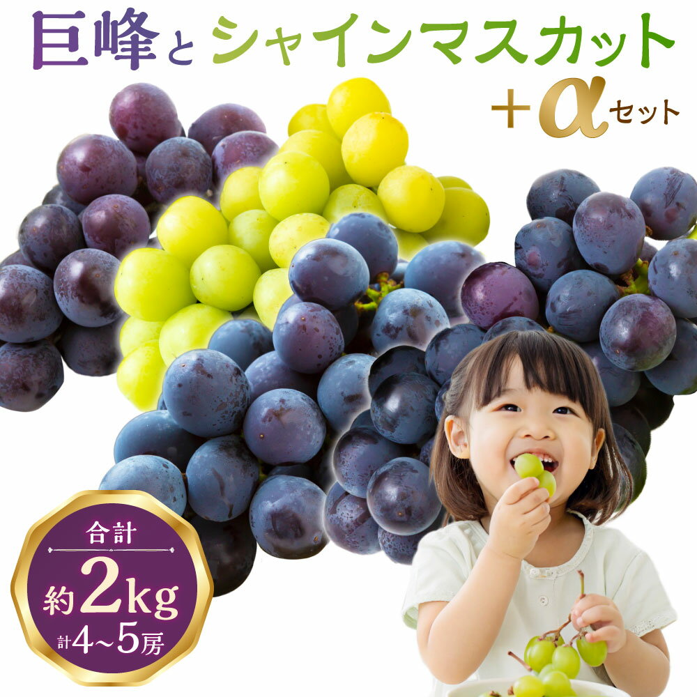 【ふるさと納税】【先行予約】龍頭農園 巨峰とシャインマスカット＋αの4房セット 2025年8月下旬 出荷予定 巨峰 シャインマスカット ぶどう 葡萄 詰め合わせ セット ピオーネ ブラックビート BKシードレス ロザリオビアンコ ゴルビー フルーツ 冷蔵 送料無料 福岡県 うきは市