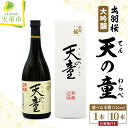 【ふるさと納税】 出羽桜 大吟醸 " 天の童 " 選べる本数 1本 / 10本 720ml 日本酒 地酒 大吟醸酒 山田錦 晩酌 ご家庭用 のし 贈答 お中元 お歳暮 ギフト プレゼント お取り寄せ 送料無料 天童ふるさと銘酒会 出羽桜酒造 【 山形県 天童市 】