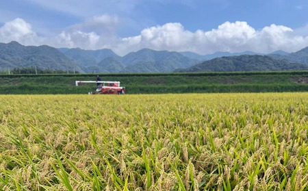 【島田青果】淡路島ゆずるは米 ５kg～ひょうご安心ブランド認証取得～