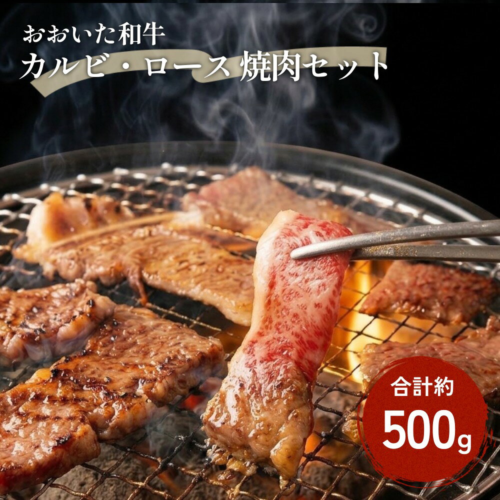 【ふるさと納税】おおいた和牛 カルビ・ロース 焼肉 セット （合計 約 500g）