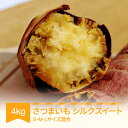 【ふるさと納税】さつまいも シルクスイート 村山市産 約4kg 2024年産 令和6年産 送料無料 山形県産 ※沖縄・離島への配送不可