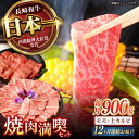 【ふるさと納税】【12回定期便】【焼き肉満喫セット】モモ 上カルビ 総計900g / 焼肉 牛肉 長崎和牛 A4～A5ランク / 諫早市 / 野中精肉店[AHCW078]