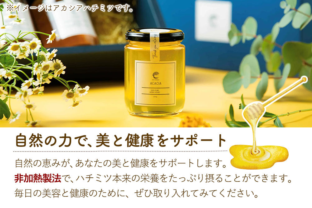 MARRONNIER マロニエ 300g×1個（ガラスびん） [BEE CONNECT はちみつ ハチミツ 蜂蜜 ガラス瓶 瓶 マロニエ 栃 トチ 秋田県産]