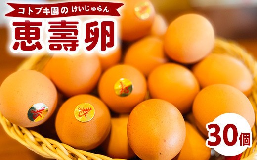 
                  当社自慢の卵 恵壽卵 30個入り  |  卵 たまご タマゴ けいじゅらん 鶏卵 玉子 国産　※離島への配送不可
                