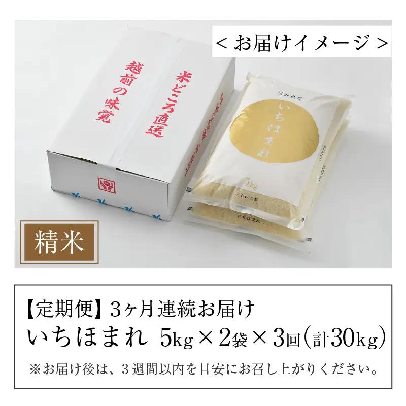 【令和7年産】定期便3回 いちほまれ 精米 10kg×3回（計30kg）《お米マイスターが発送直前に精米！》／ 福井県産 ブランド米 ご飯 白米 新鮮 [aw064-h005]